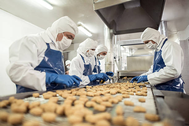 PPE for Food Industry Full Guide
