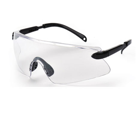 Protector Safety Glasses