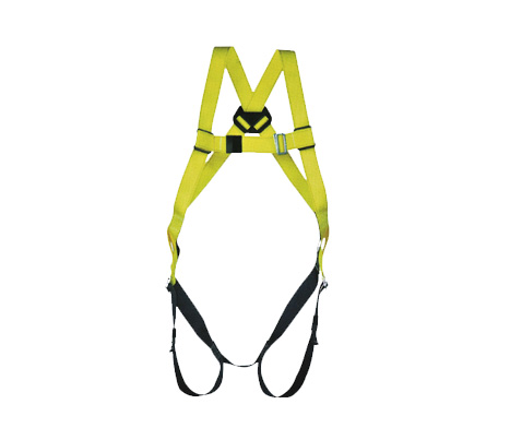 Body Harness