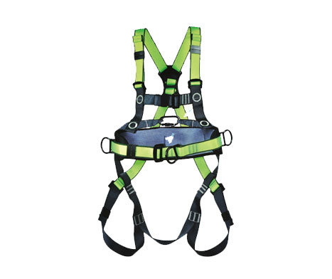 Fall Protection Harness