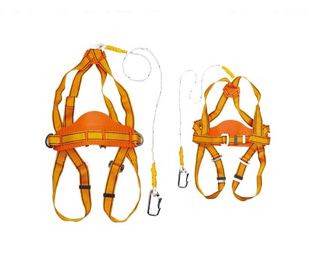 Fall Arrest Harness