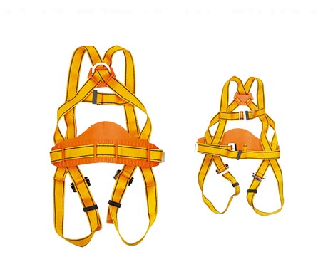 Protecta Harness