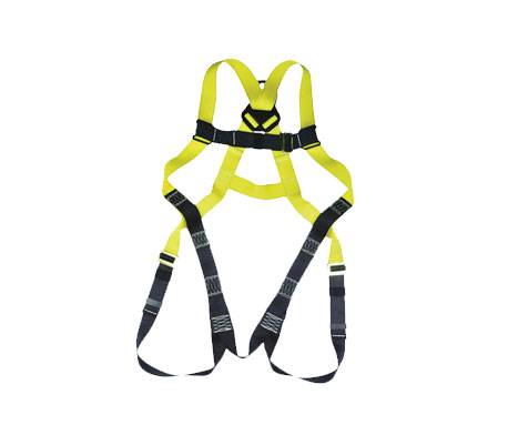 Fall Safety Harness